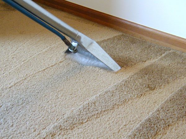 Step By Step Instructions To Keep Your Home Allergens-free With Carpet Cleaning Techniques